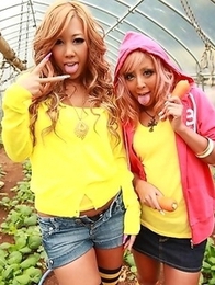 Farmer girls Raina Ogami and Rara